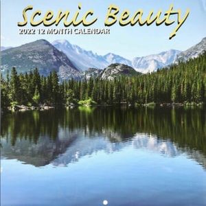 NEW 2022 Scenic Beauty 12 month calendar FREE SHI